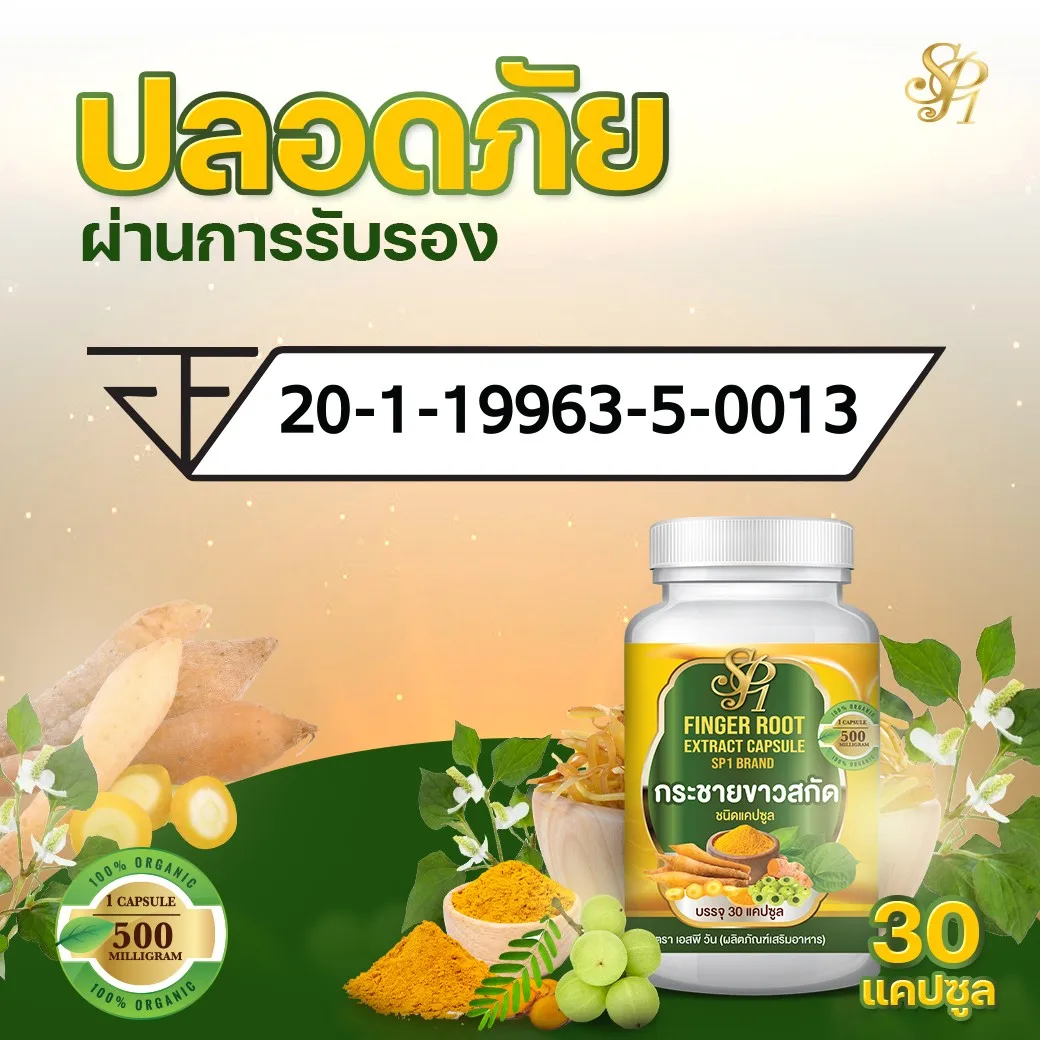 
Figer Root Extract Capsule product of Thailand 