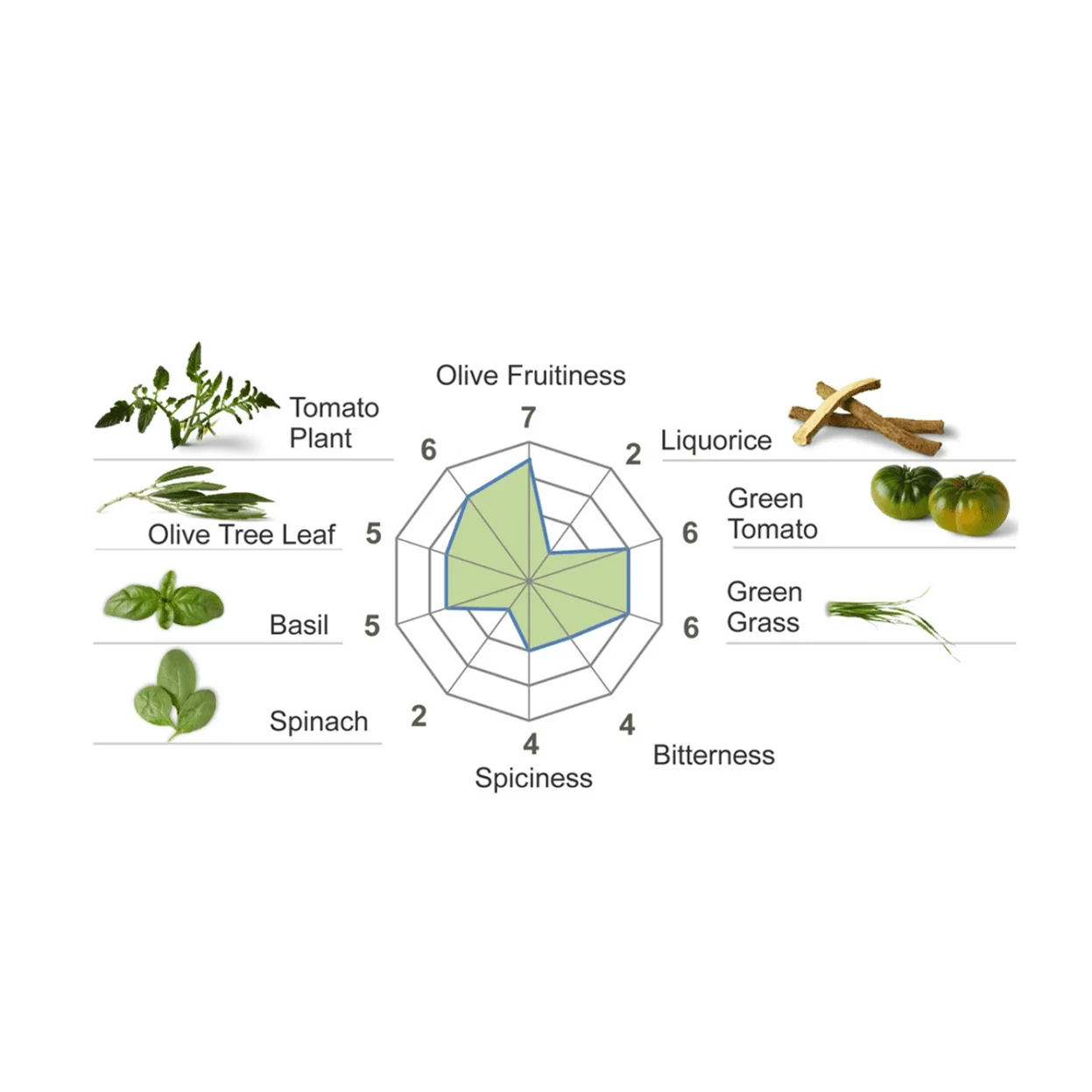 Spanish Extra Virgin Olive Oil   Premium   Picual   250ml. This is the most widespread variety in the olive oil world.