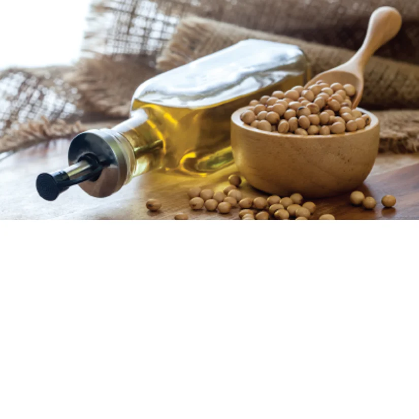 REFINED BLEACHED DEODORIZED (RBD) SOYBEAN OIL Refined, Winterized, Deodorized, Bleached Conform to Turkish Standard TS 890