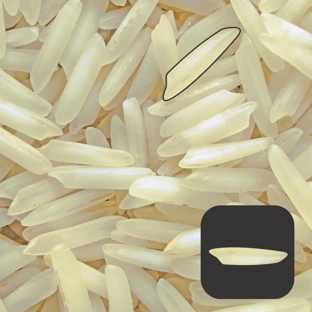 
1121 Steam Basmati Rice 