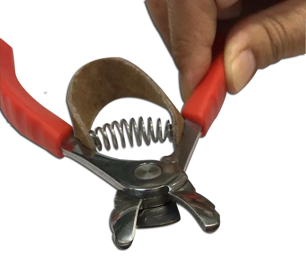 Fruit Harvesting Shear For Gardening & Lawn Care