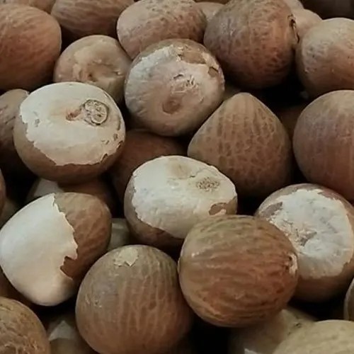 BETEL NUTS - Whole/ Split Betel Nuts Cheapest Price Top Quality Manufacturer From Vietnam In Bulk Supply| TERESA +84971482716