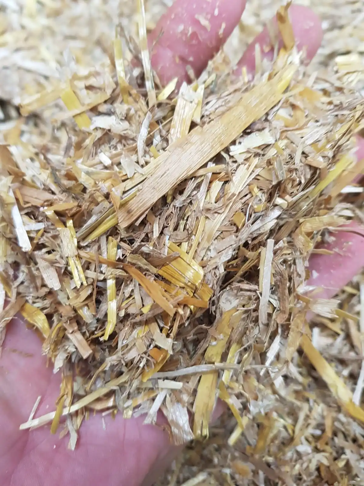 Wheat straw in big bales for animal