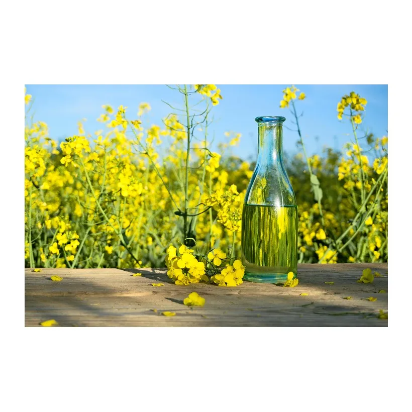 suppliers supply wholesale price bulk oil canola pure canola seed oil