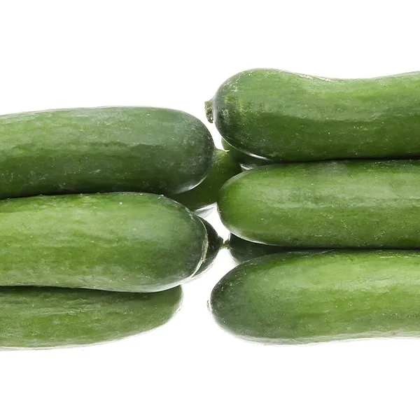 
 Оптовая продажа свежих огурцов, цена свежих огурцов, свежий огурец  