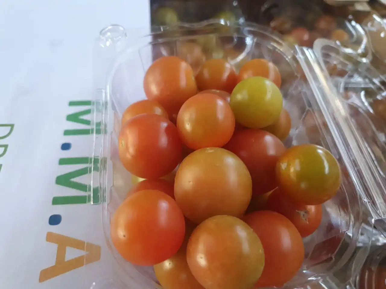 
Wholesale Bulk Vegetable Fresh Red Cherry Tomatoes 