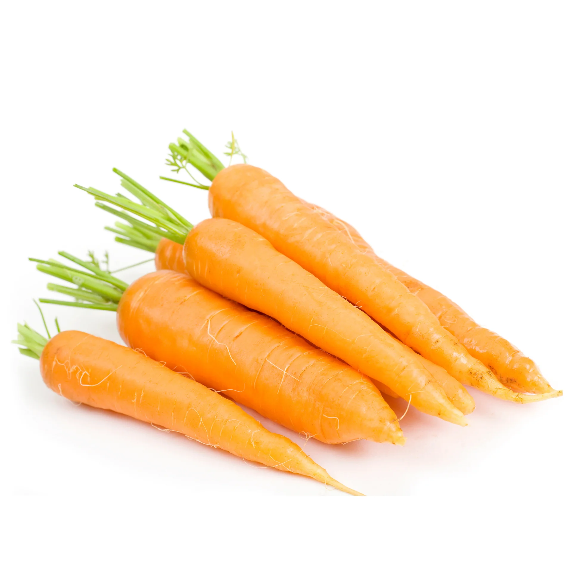 Свежая морковка высокого качества