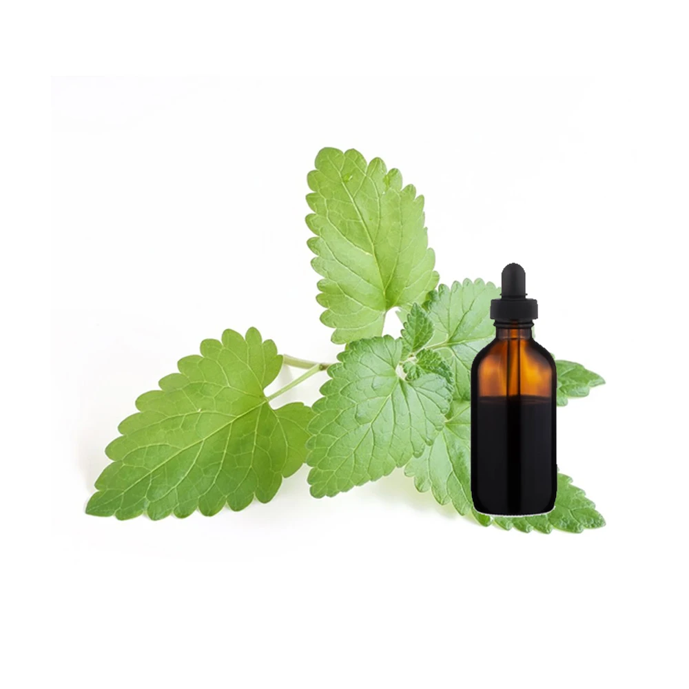 Best Selling  Cosmetic/Skin Care Use/ Medicinal Use Healthy Catnip Essential Oil (Nepeta cataria)