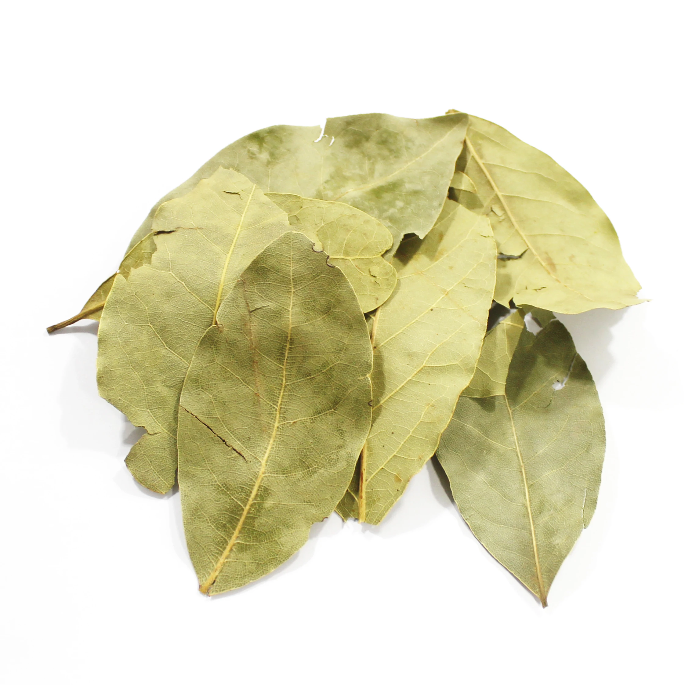 
High Quality Bay Leaves wholesale price 