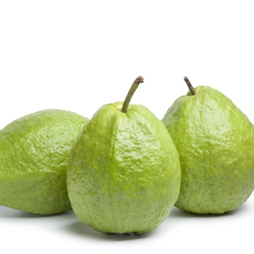 Sweet and Juicy Green Fresh Taiwan Guava Organic Fresh Guava From Vietnam