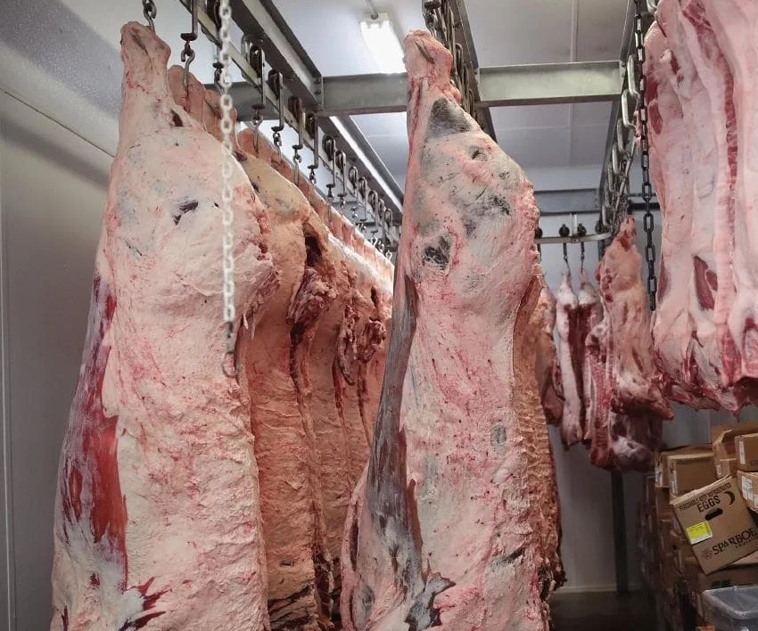 Халяльная замороженная говядина, буйвол, баранина, говядина на продажу