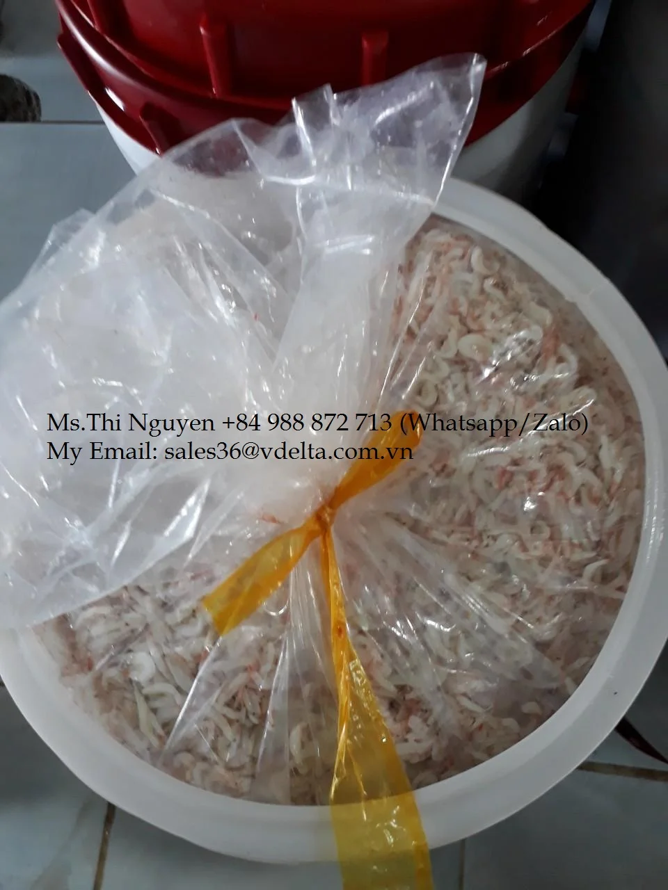 SALTED BABY SHRIMP FROM VIETNAM/ SALTED BABY KRILL HIGH QUALITY/Ms.Thi Nguyen +84 988872713