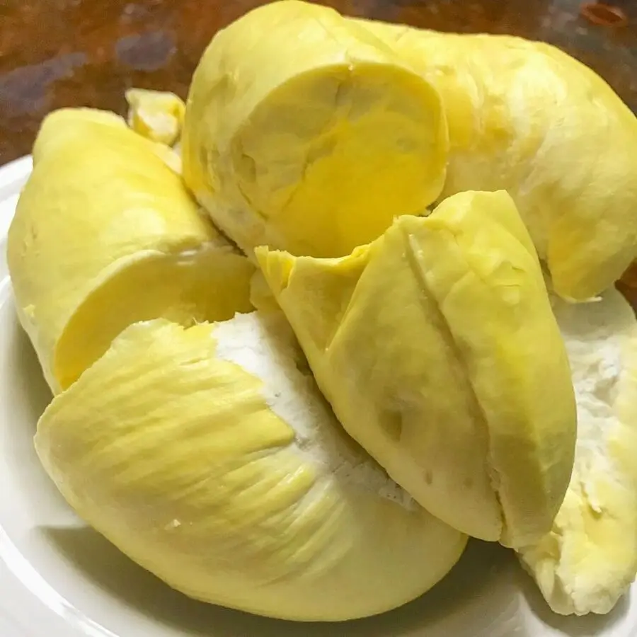 
Durians Fresh Fruit with High Quality 
