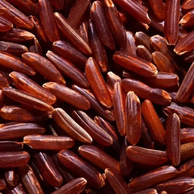 High Quality Red Brown Rice Dragon Blood 5% Broke 14.5% Moisture Wholesale