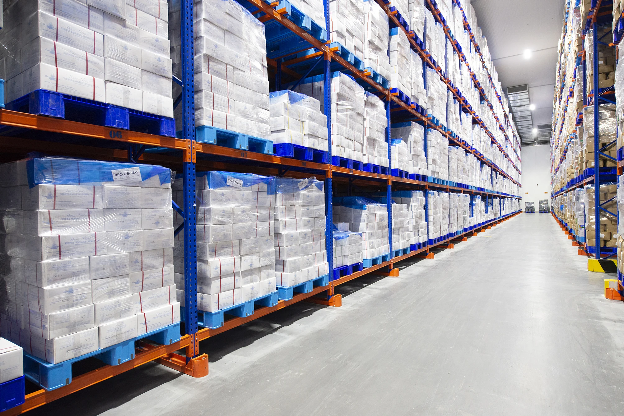 Wholesale  fish fillet premium quality Frozen Pangasius / Basa fish fillet for EU Market Factory Supply