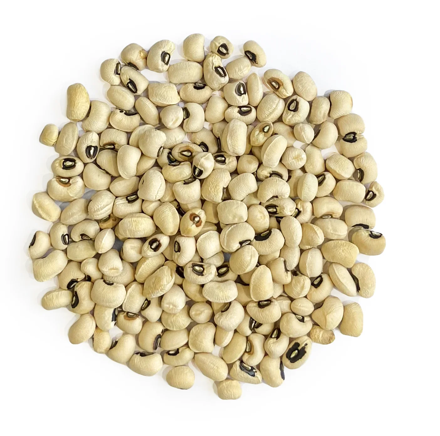 New Crop  October wholesale good quality from Uzbekistan bags 25 kg natural dried peeled black eye beans