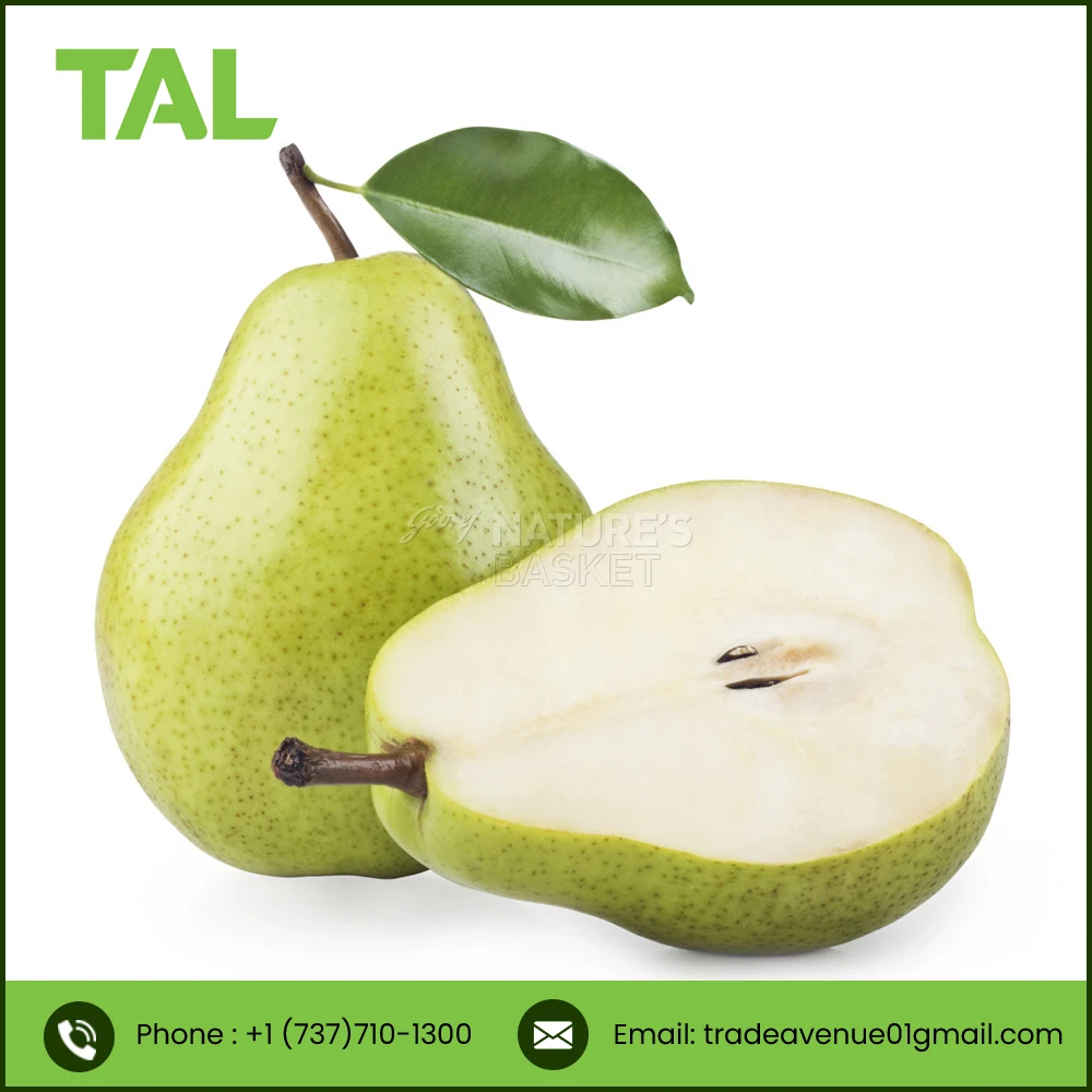 TOP QUALITY fresh green pear fruit from South Africa