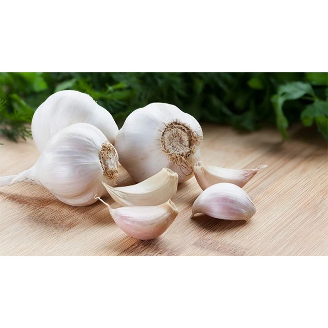 Organic Cultivation type Wholesale Hot 2022 Vietnam High Quality Fresh/ Frozen Garlic 100% Natural