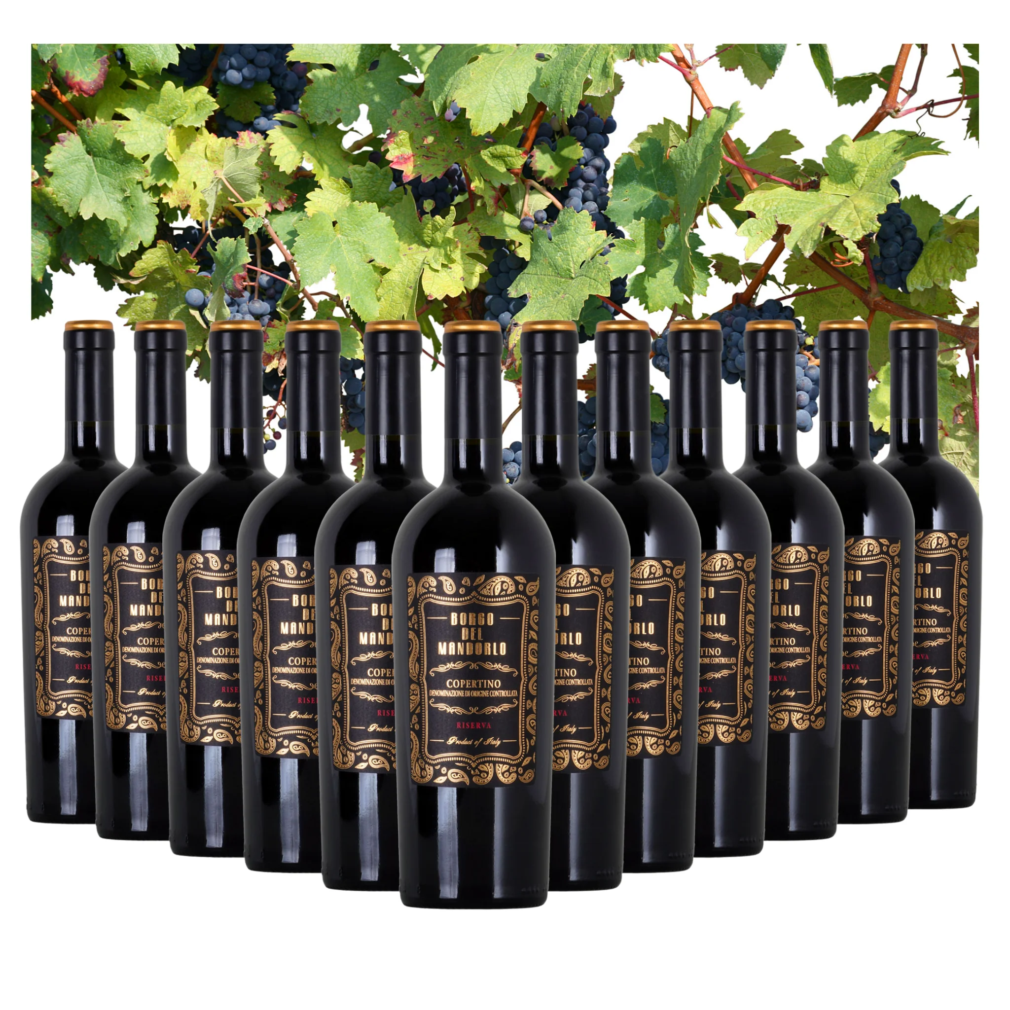 Red Wine bottles for sale - Copertino DOC Riserva Borgo del Mandorlo - Red wine brand
