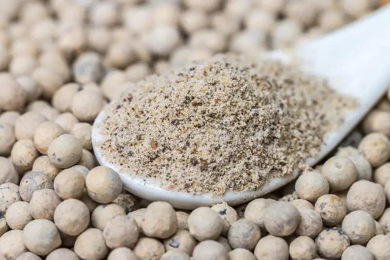 Vietnam Dried White Pepper With High Quality and Reasonable Price - White Pepper