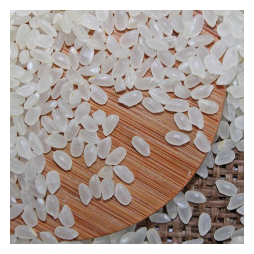 Wholesale japonica rice crop hot sale cheap medium round grain 5% broken Vietnam rice for sushi