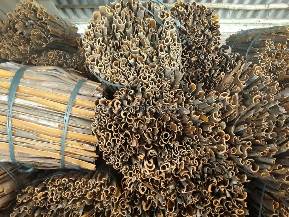 CASSIA SPLIT/ CINNAMON SPLIT FROM YEN BAI VIETNAM GOOD PRICE