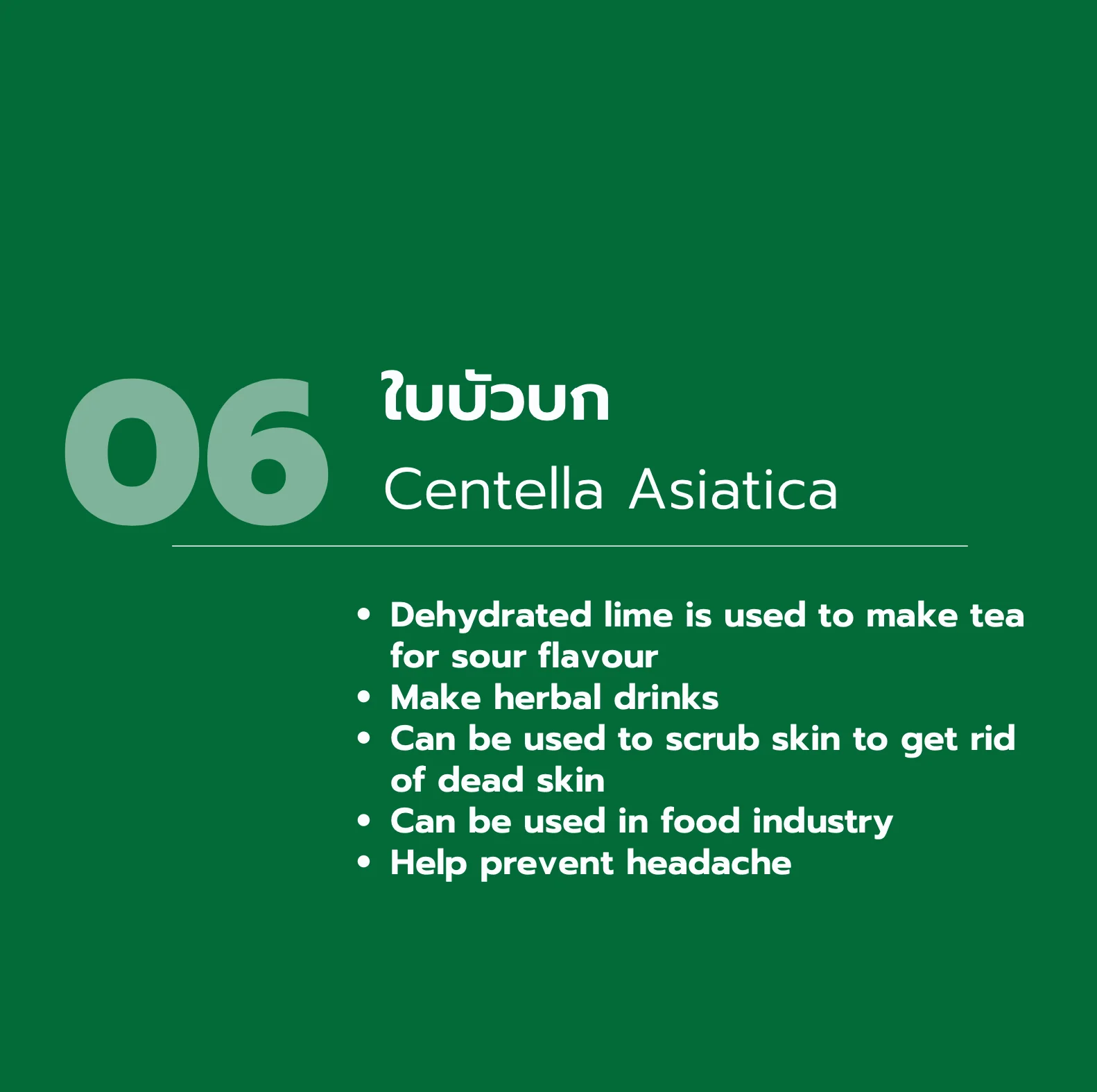 (Organic) Centella Asiatica Powder (1,000 gram) Thai Herbal Extract - custom size package & design (Product of Thailand)