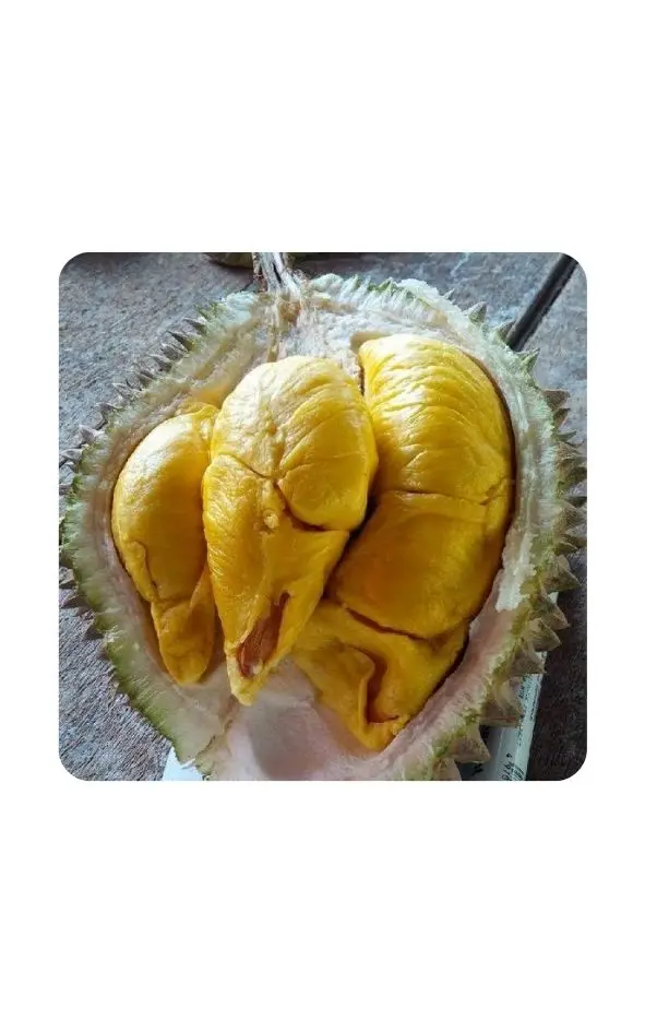 Свежий/свежий дуриан лучшего качества из Вьетнама // Jolene + 84 336089155