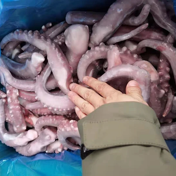 Горячая Распродажа гигантские замороженные кальмары тентесламы морепродукты
