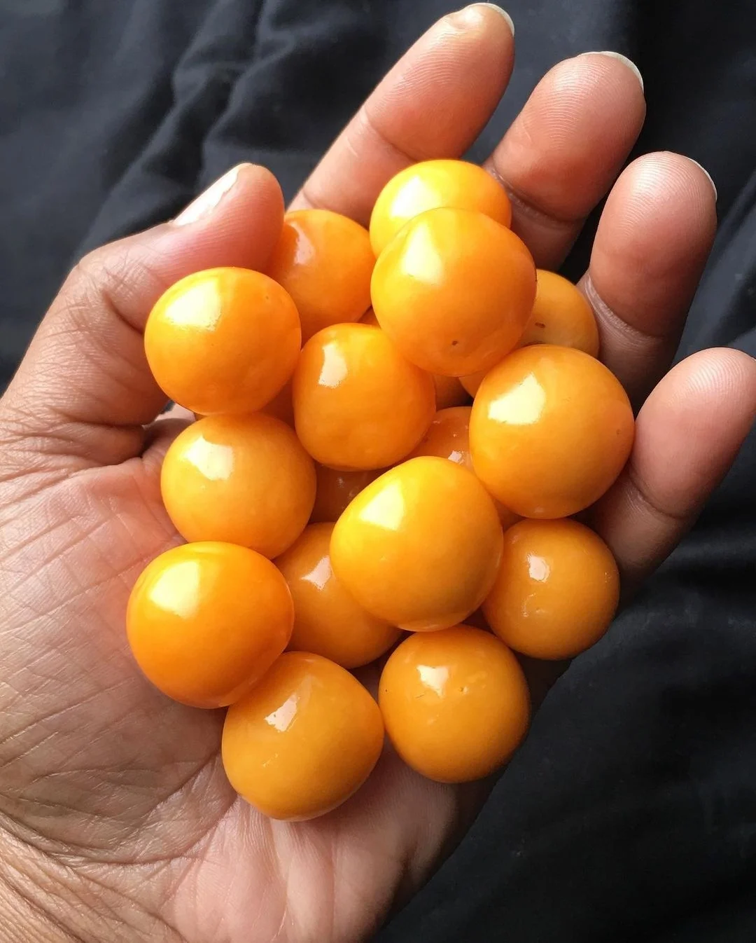 Оптовая продажа органических свежих Kumquat