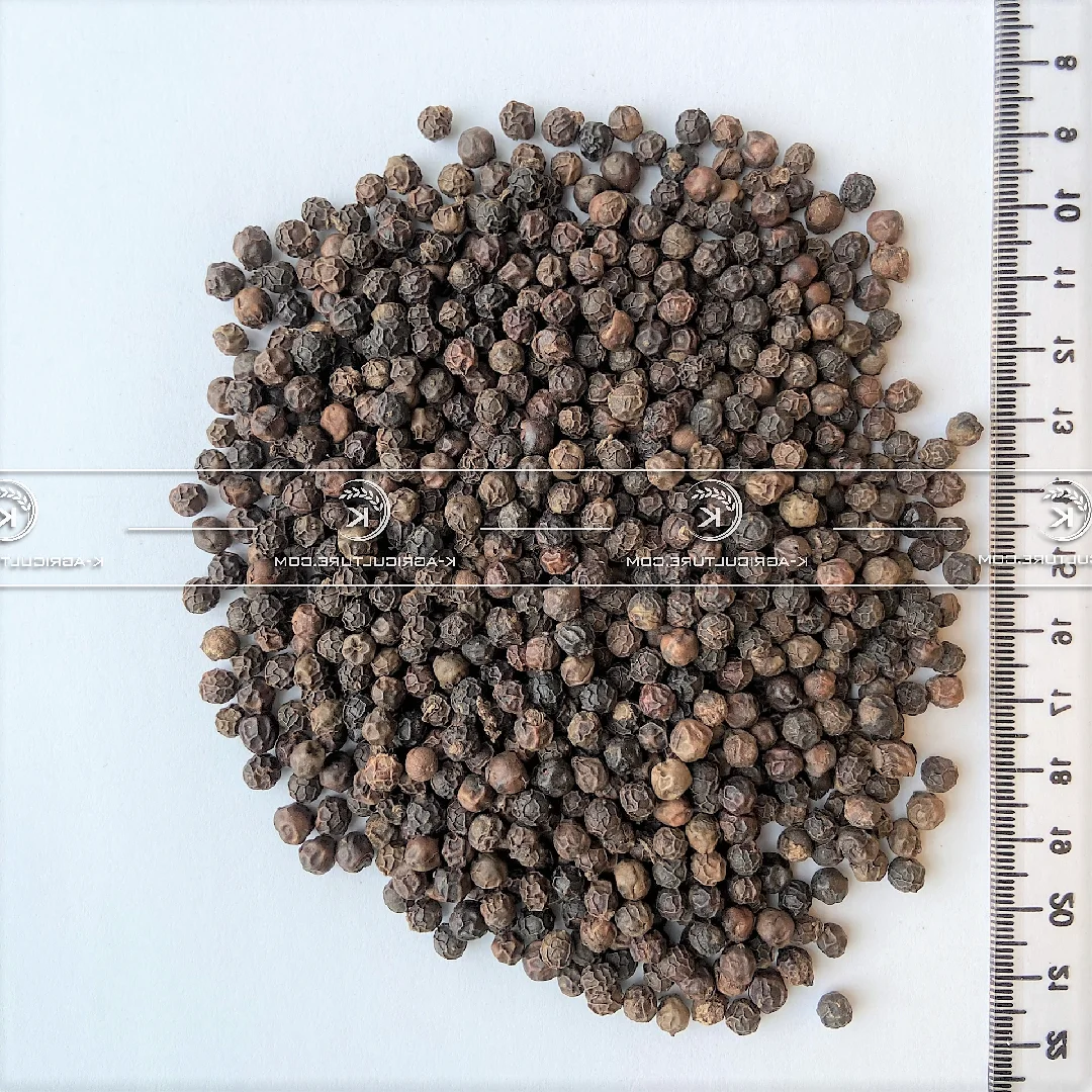 vietnam black pepper ready to ship from vietnam best price in bulk