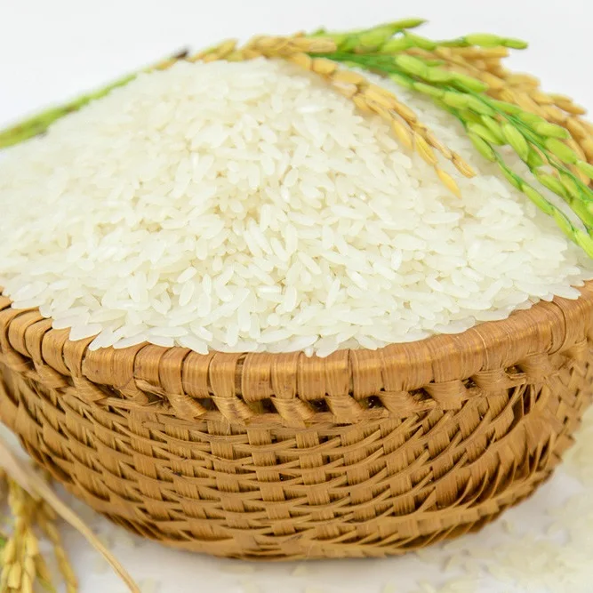 Soft Texture and Perfume sweet kind JASMINE RICE THAILAND