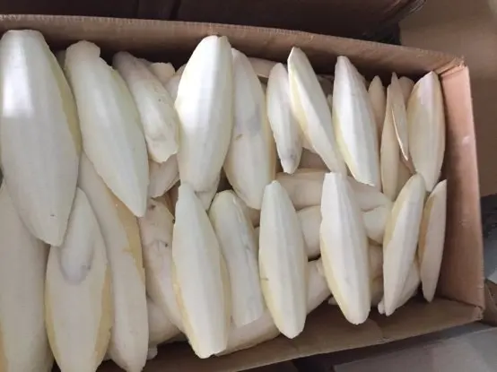 
DRIED CUTTLE FISH BONE/ SEAFOOD WITH THE BEST PRICE/Ms.Thi Nguyen +84 988872713 