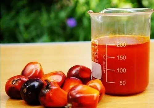 Top Grade Palm Oil Wholesale Palm Oil In Cheap Rates
