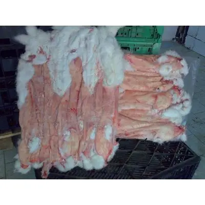 frozen-rabbit-skins