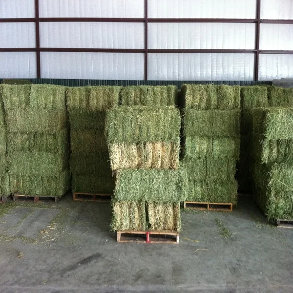 Alfalfa Hay / Timothy Alfafa Hay / Rhode Hay