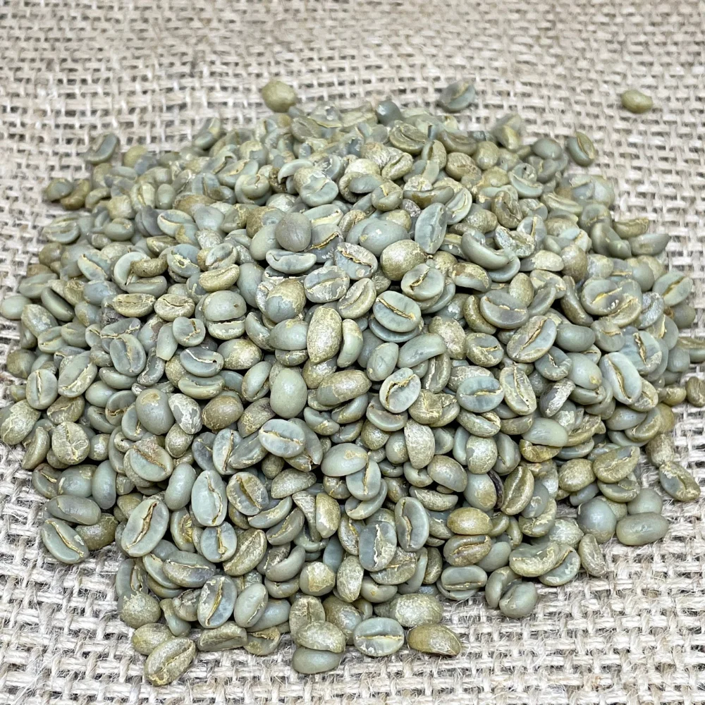 Arabica Green Coffee Beans High Quality Catimor Arabica Green Coffee Beans Fully-Washed Processing S16/18  from Vietnam