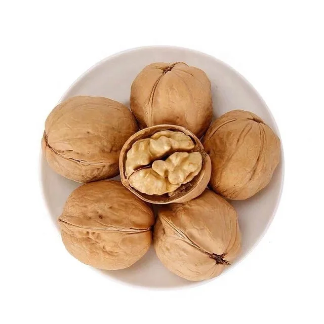 High Quality Walnut Kernel Wholesale /Best Grade Raw Walnut