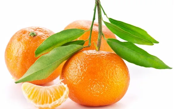 Best Quality Mandarin orange in Pakistan