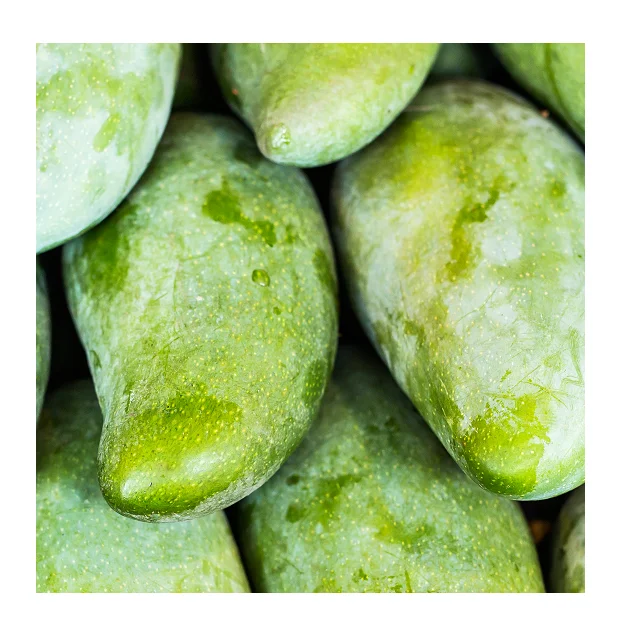 
Organic Pakistani Fresh Green Mangoes In Wholesale Price 
