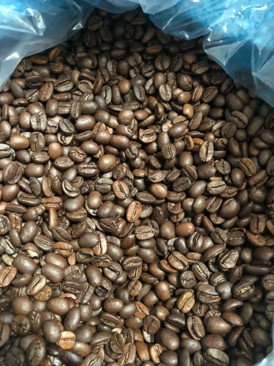 
ISO HACCP Certification Rustic Roasted Robusta Coffee Bean 500g Pure Coffee Beans in Zipper Bag Packaging a Grade 0.5 Kg 
