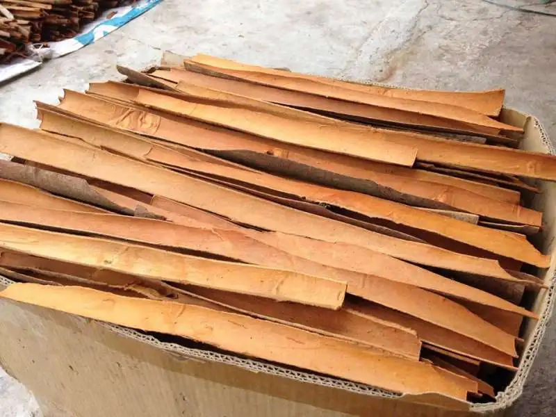 
New natural crop qualified Cinnamon cassia split 