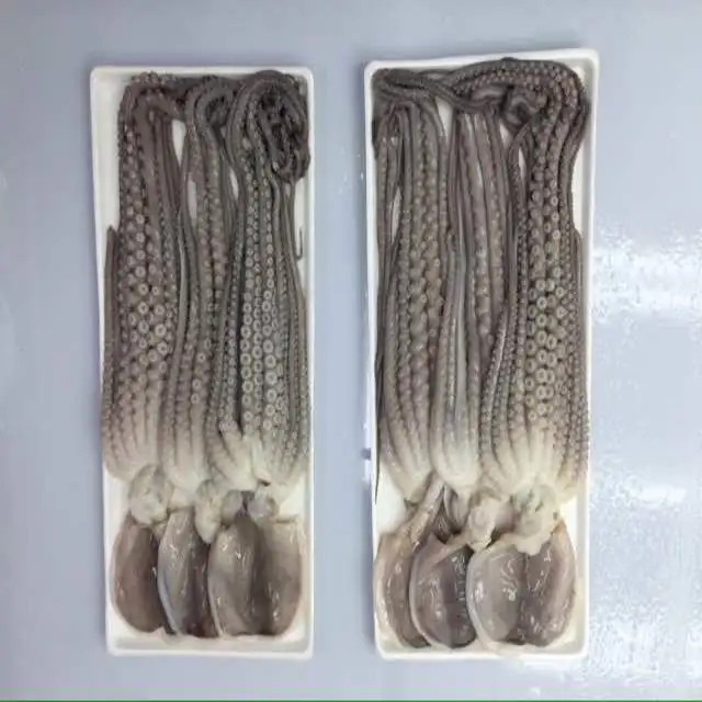 
FROZEN CUT POULP SQUID FROM VIET NAM 