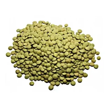 
Russian Origin Cheap Sales Organic Green Lentils In Bulk 