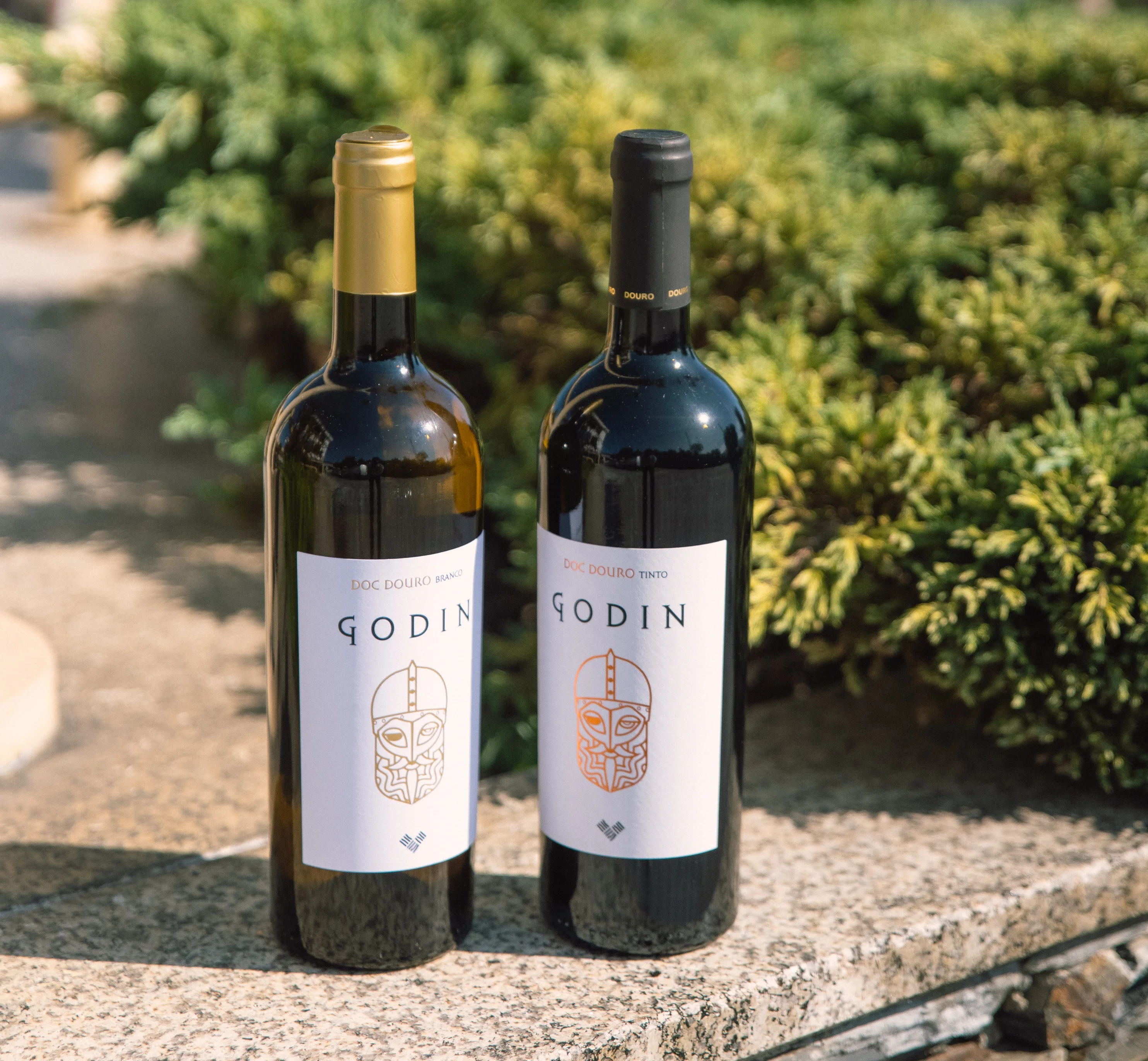 Сухое красное вино Douro GODIN из Португалии