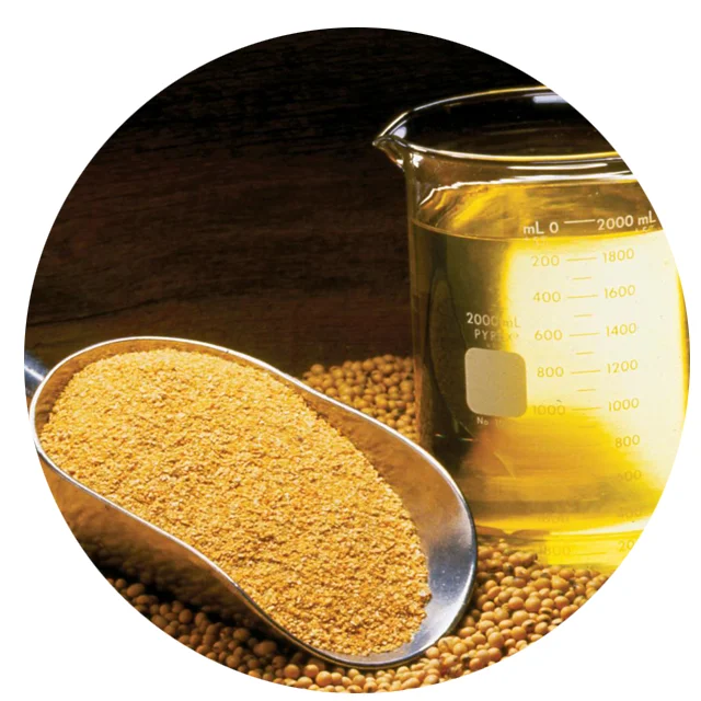 Protein Quality Soybean Meal / Soya Bean for Animal