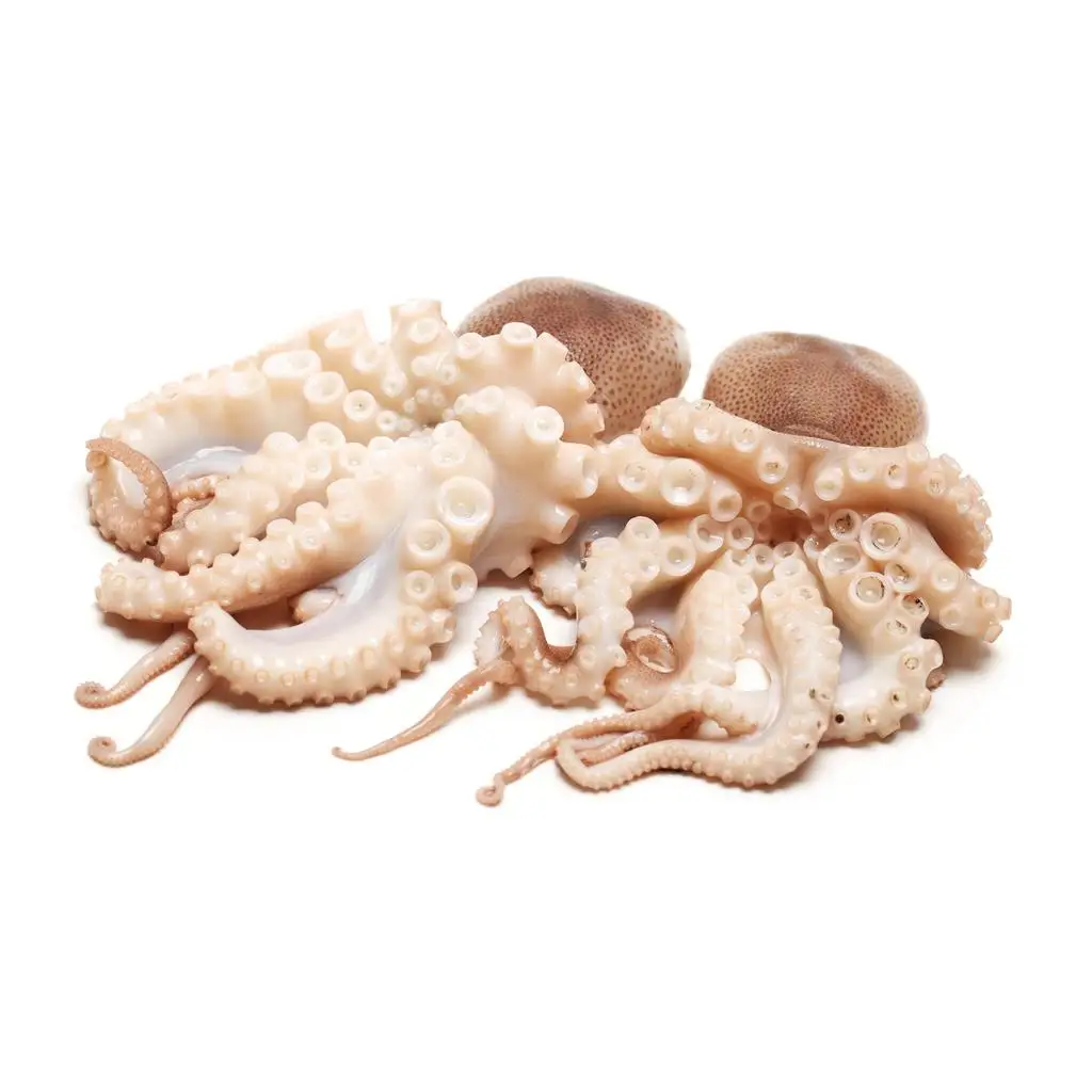 Wholesale fresh frozen cooked octopus vulgaris for sale in bulk