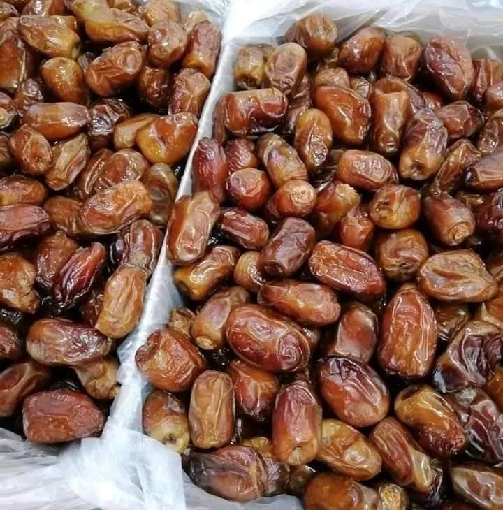 Premium quality Egyptian semi dry Wahati dates for Export
