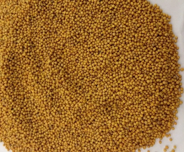 
Yellow mustard seed 2021 