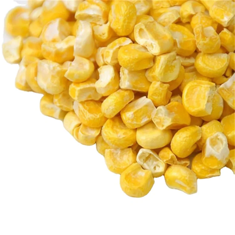 Yellow Corn/Maize for Animal Feed / YELLOW CORN FOR POULTRY FEED